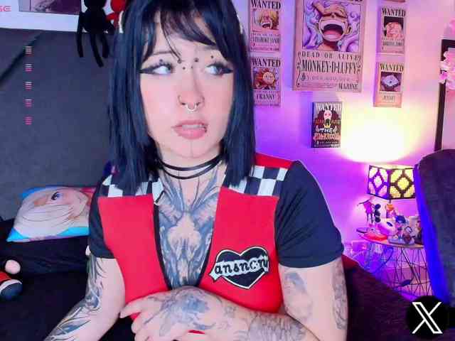 Aryrouse webcam