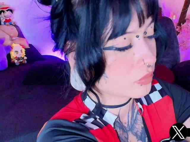 Aryrouse webcam
