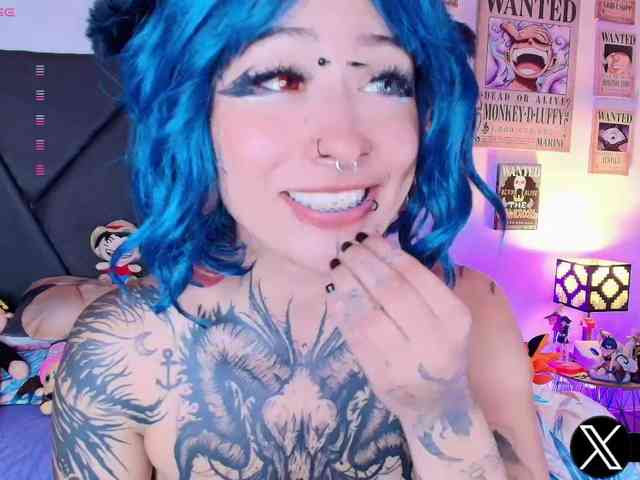 Aryrouse webcam