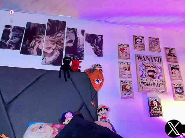Aryrouse webcam