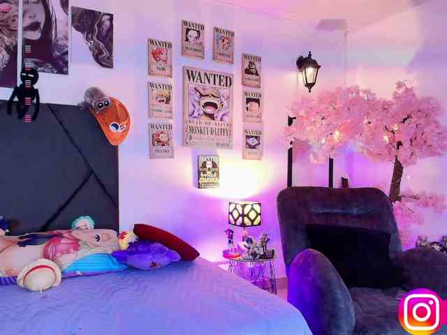 Aryrouse webcam