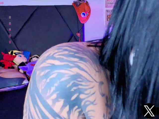 Aryrouse webcam