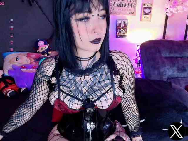 Aryrouse webcam