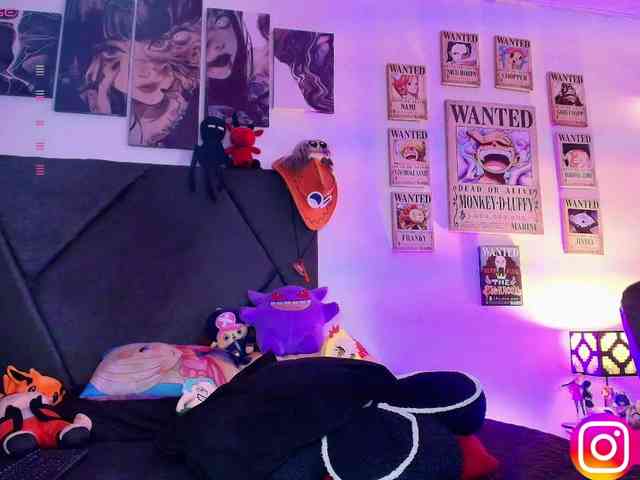 Aryrouse webcam