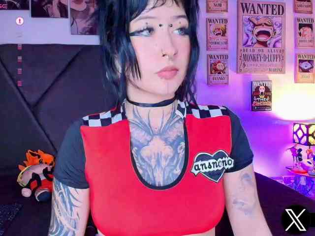 Aryrouse webcam
