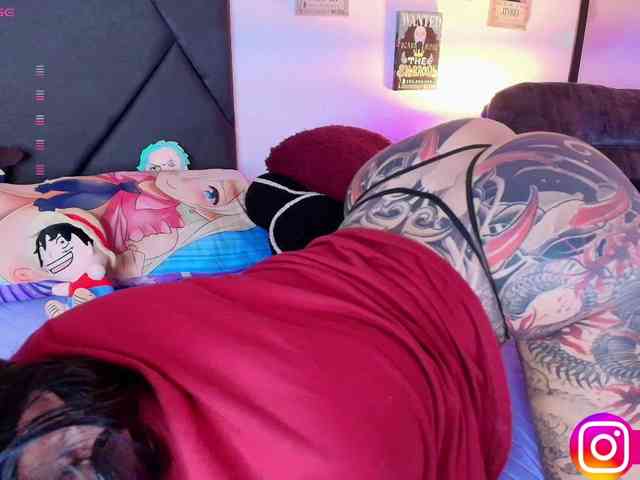 Aryrouse webcam