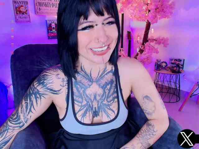 Aryrouse webcam