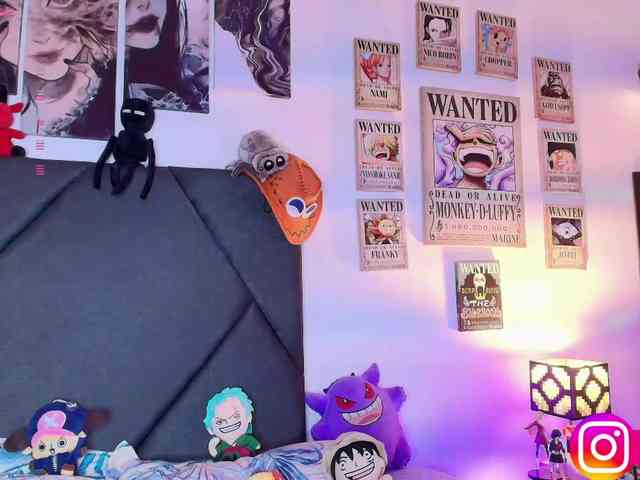 Aryrouse webcam