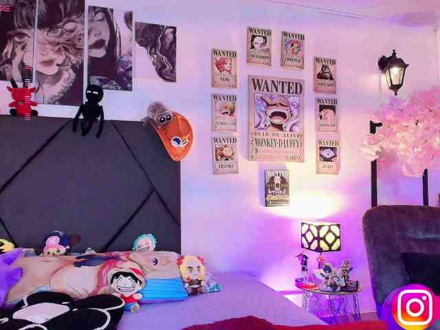 Aryrouse webcam