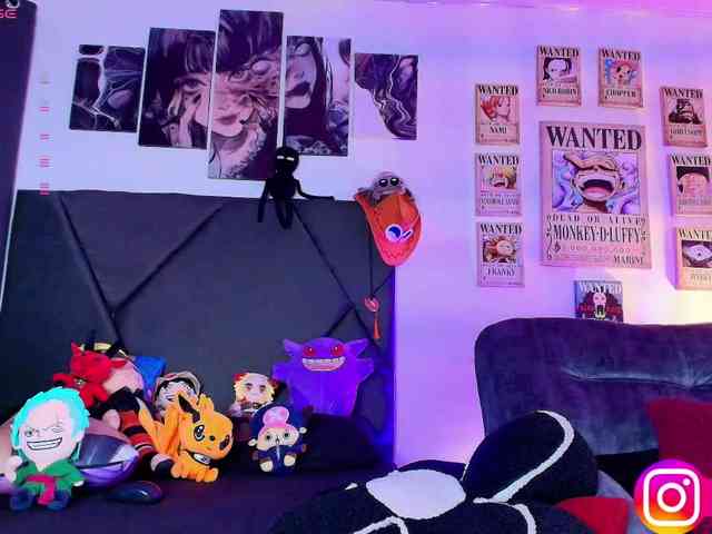 Aryrouse webcam
