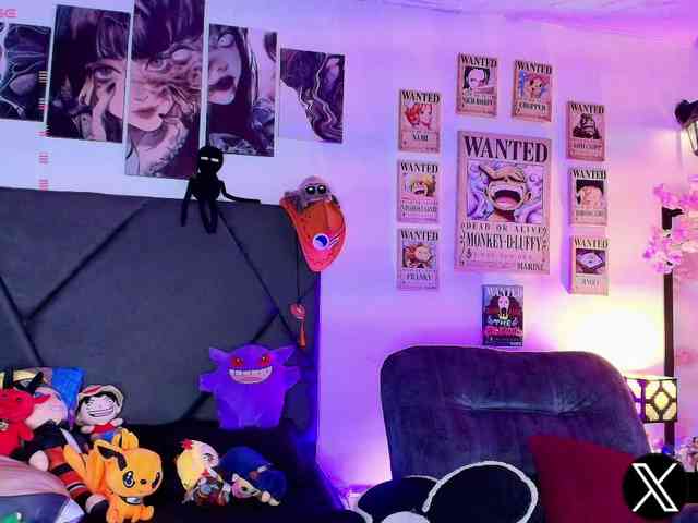 Aryrouse webcam