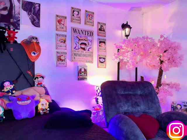 Aryrouse webcam