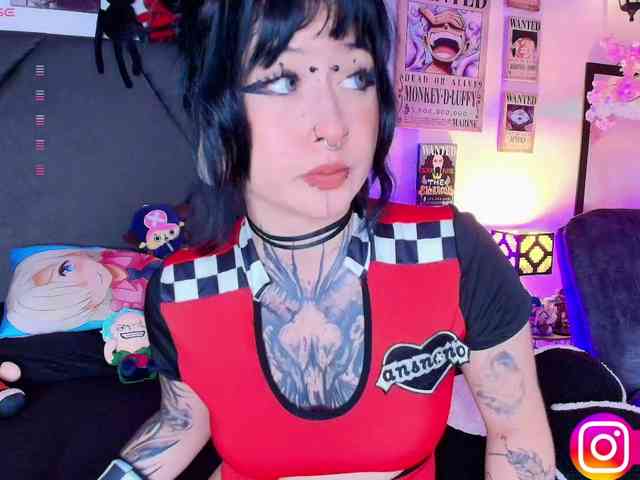 Aryrouse webcam