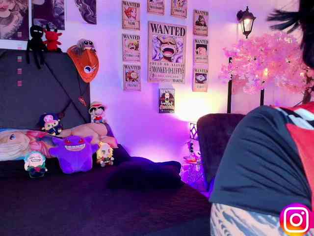 Aryrouse webcam