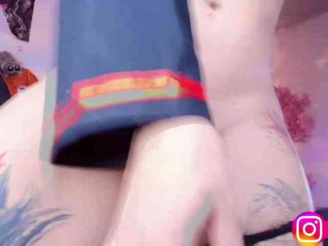 Aryrouse webcam