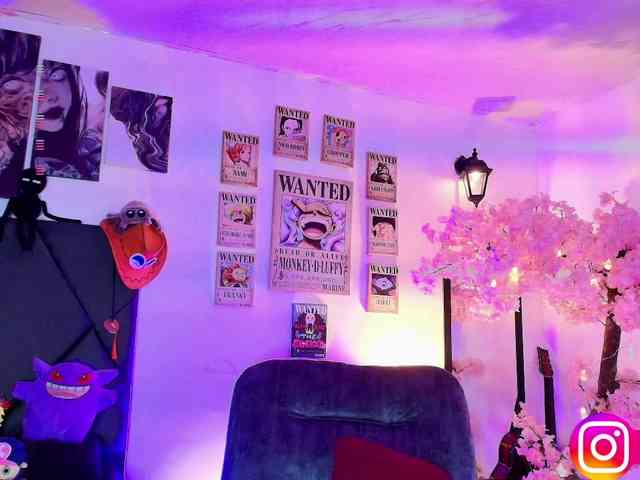 Aryrouse webcam