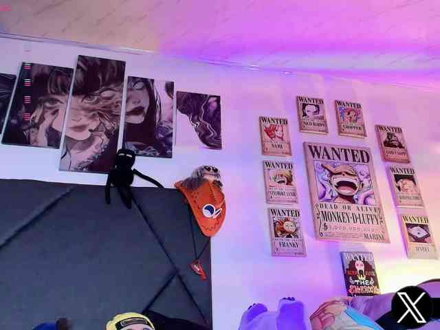 Aryrouse webcam