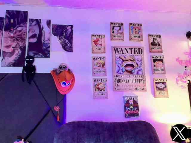 Aryrouse webcam