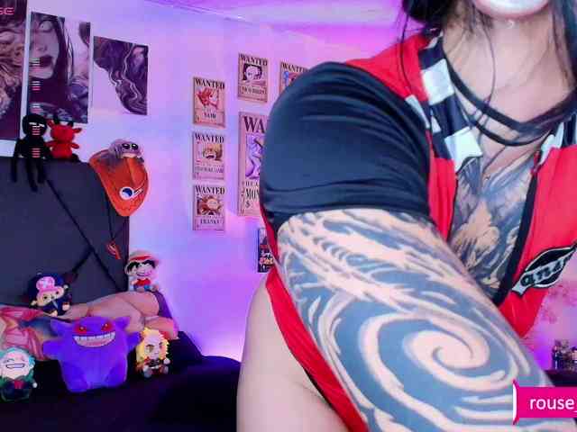 Aryrouse webcam