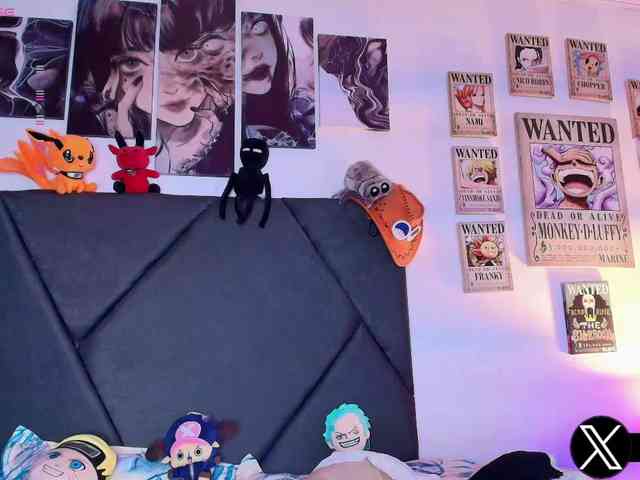 Aryrouse webcam