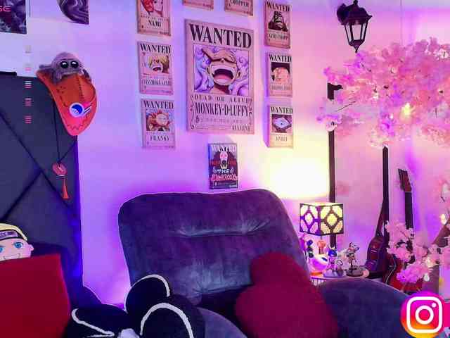 Aryrouse webcam