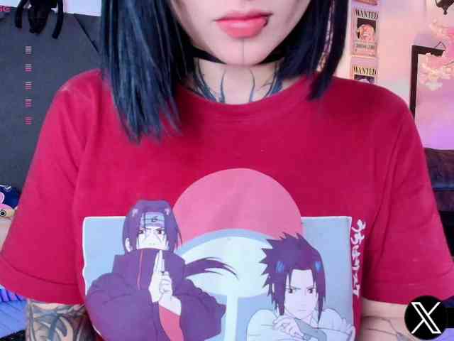 Aryrouse webcam