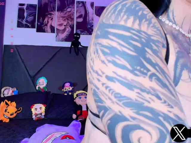 Aryrouse webcam