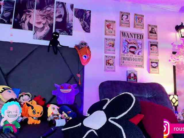 Aryrouse webcam