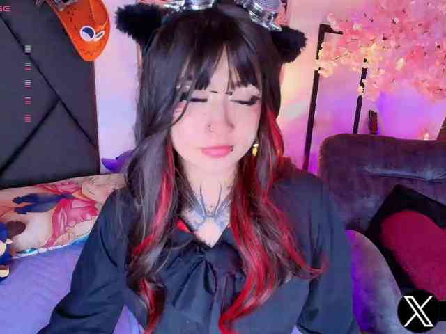 Aryrouse webcam