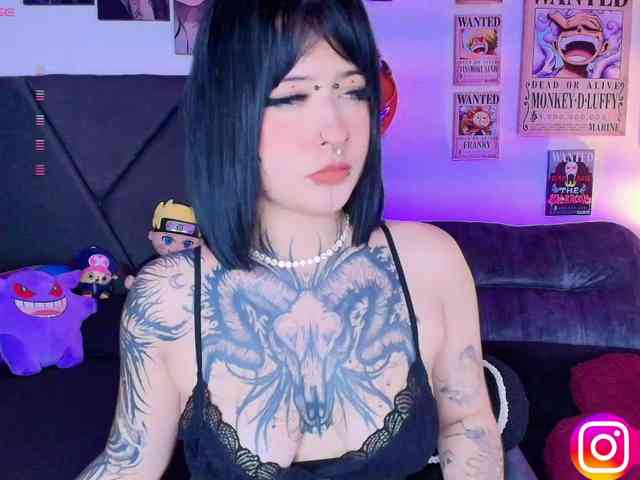 Aryrouse webcam