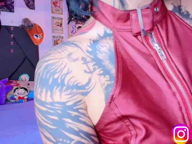 Aryrouse webcam
