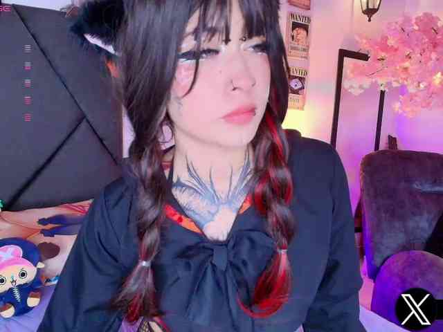 Aryrouse webcam