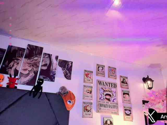 Aryrouse webcam