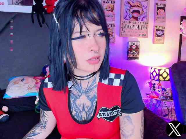 Aryrouse webcam