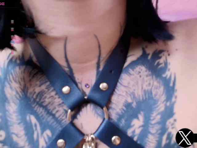 Aryrouse webcam