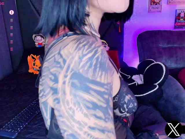 Aryrouse webcam