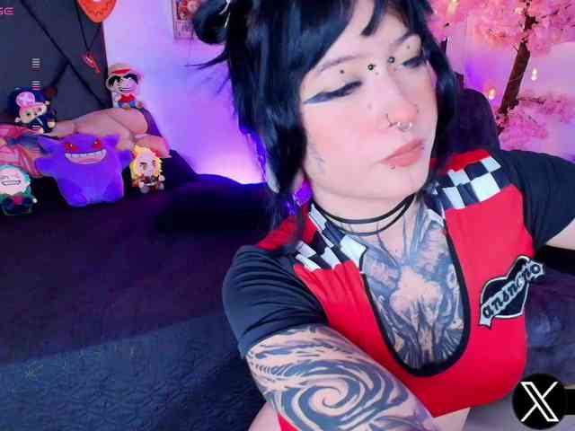 Aryrouse webcam