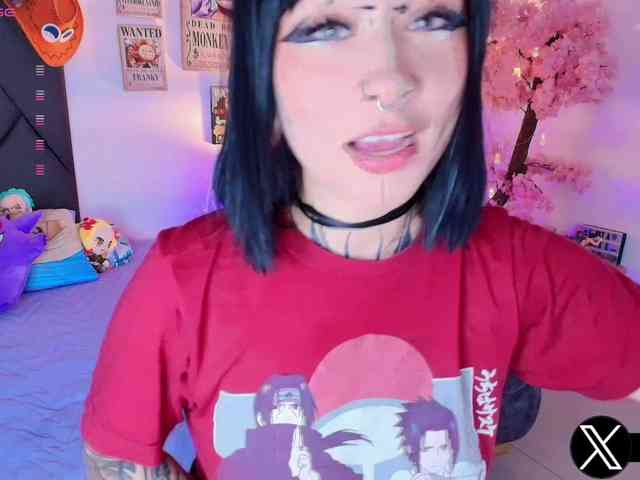 Aryrouse webcam