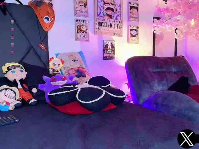 Aryrouse webcam