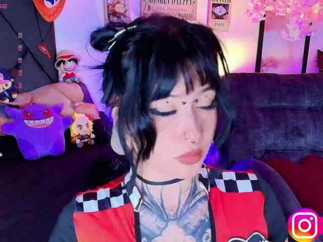 Aryrouse webcam