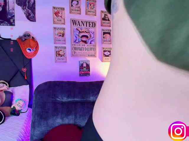 Aryrouse webcam