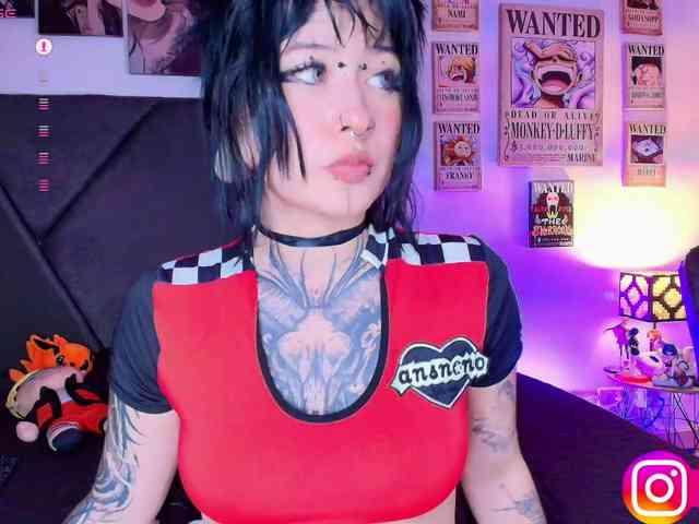 Aryrouse webcam