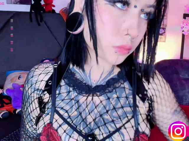 Aryrouse webcam