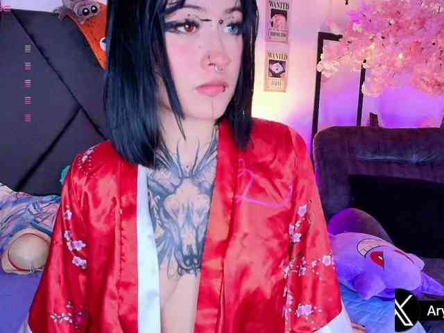 Aryrouse webcam