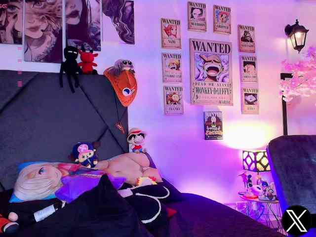 Aryrouse webcam