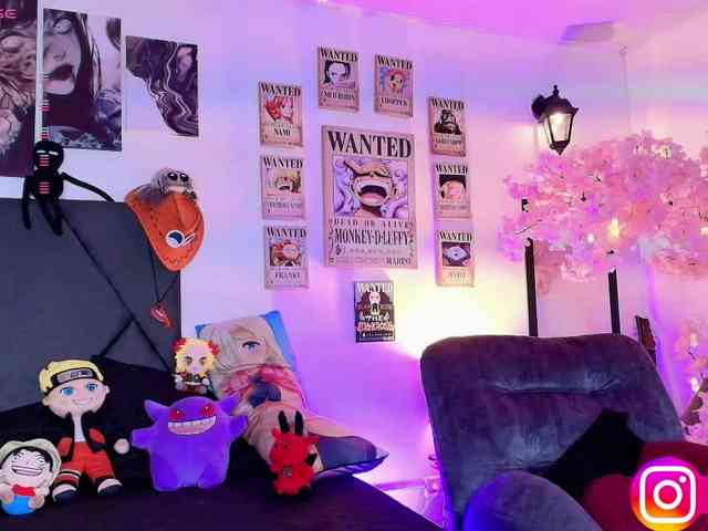 Aryrouse webcam