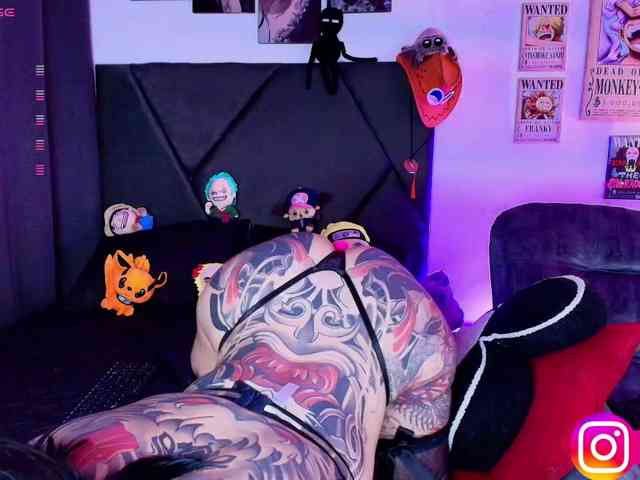 Aryrouse webcam