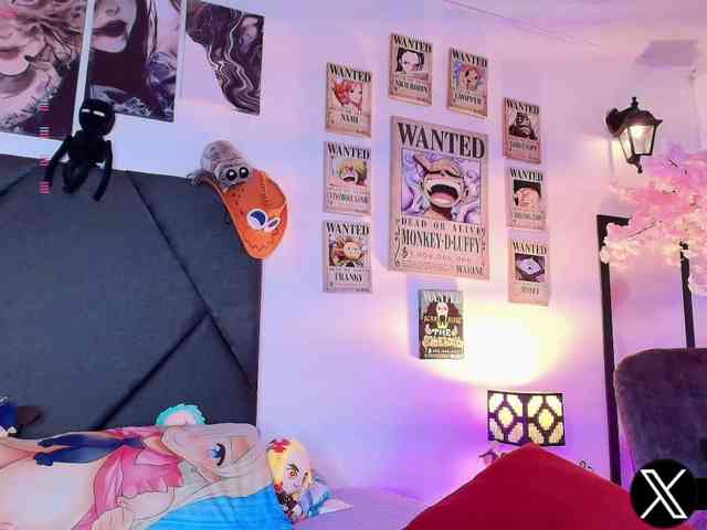 Aryrouse webcam