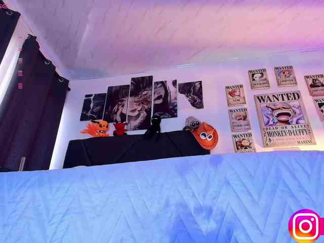 Aryrouse webcam