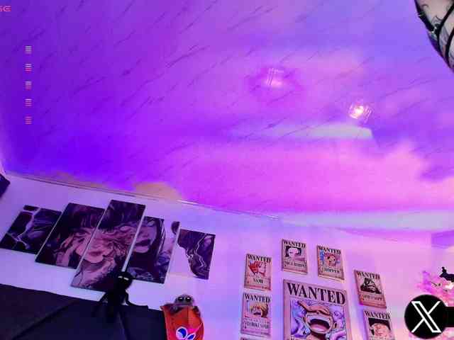 Aryrouse webcam